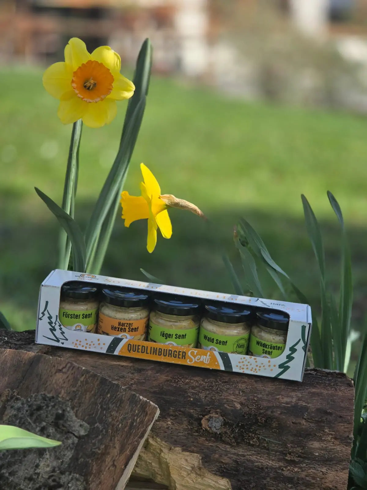 Harzer Waldwanderung - Probier-Senf-Set