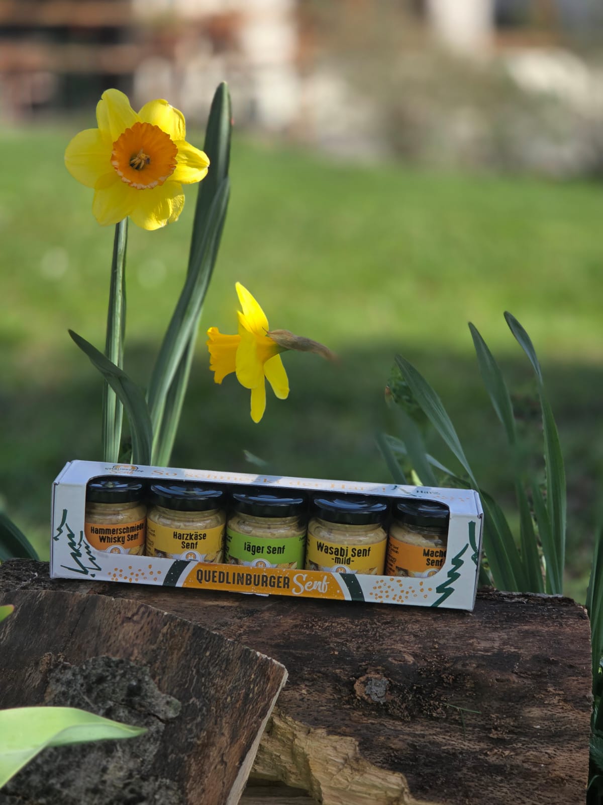 🍺🔥 Herbes Männer-Probier-Set – kraftvoll, deftig & voller Harzer Geschichte