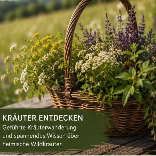 Kräuterwanderung