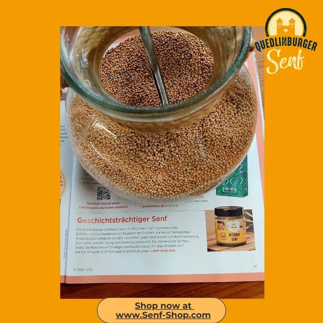 Senfsaat bzw. Senfkörner gelb - senf - shop.com