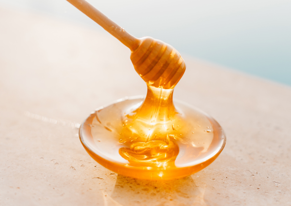 Honig-Senf selbermachen