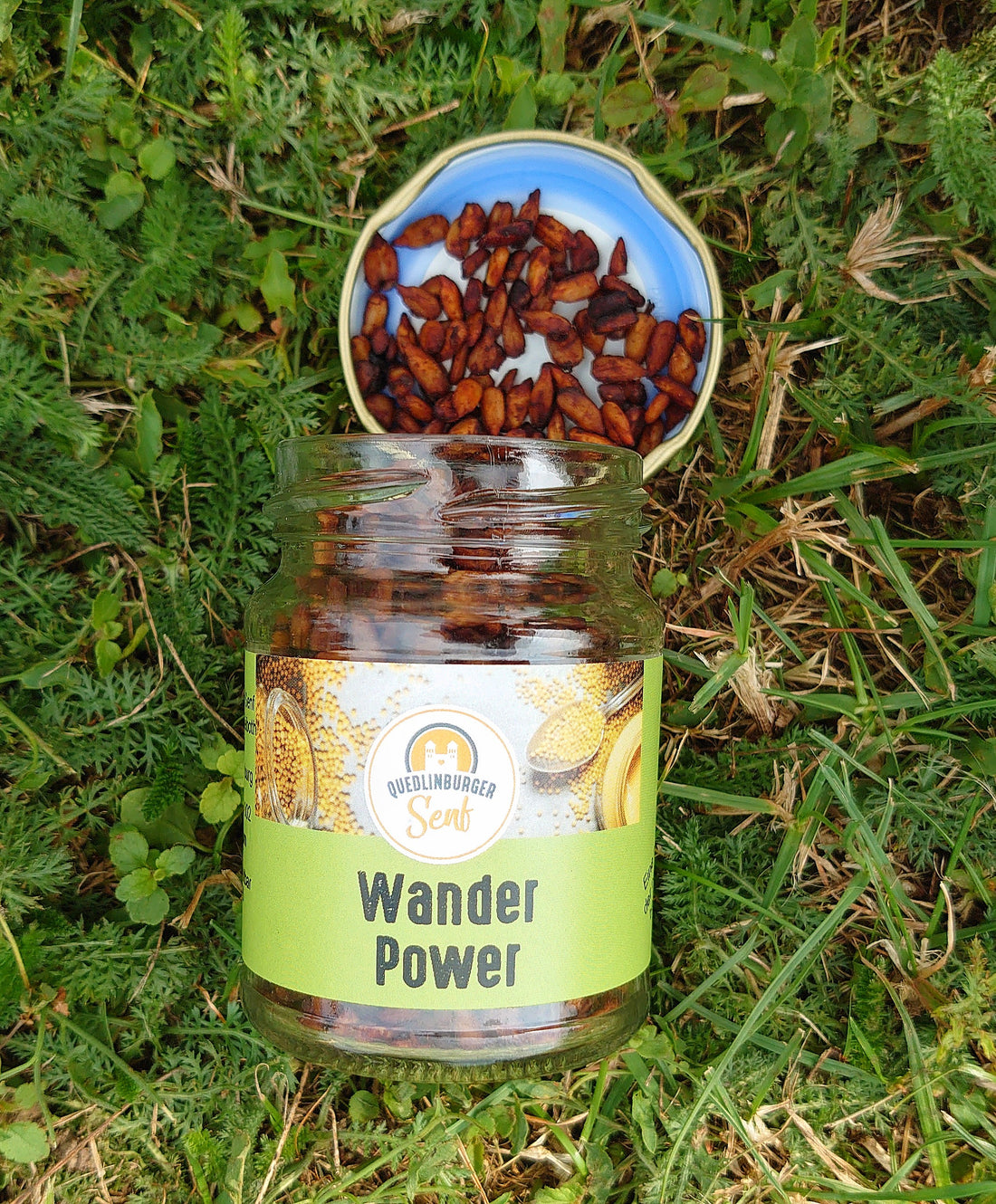 Wander Power