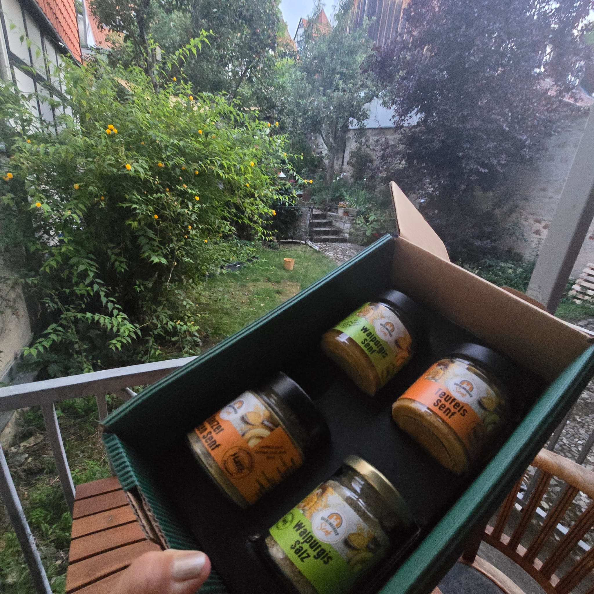 Das magische Quartett 🧙‍♀️
