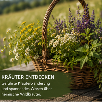 Kräuterwanderung