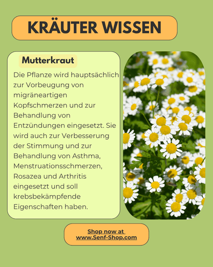 Pesto - mit Salbei oder Garten-Kräutern