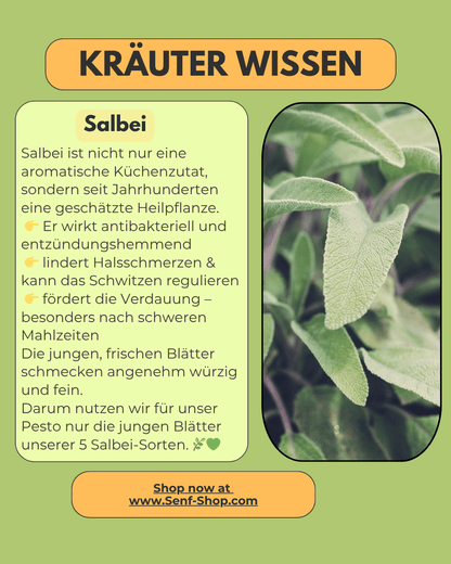 Pesto - mit Salbei oder Garten-Kräutern