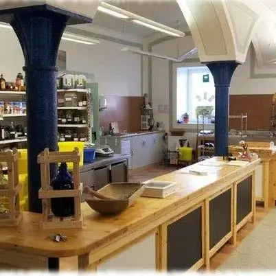 Gutschein für die Senf - Werkstatt: Deinen Lieblings - Senf selber herstellen - senf - shop.com