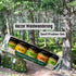 Harzer Waldwanderung - Probier - Senf - Set - senf - shop.com