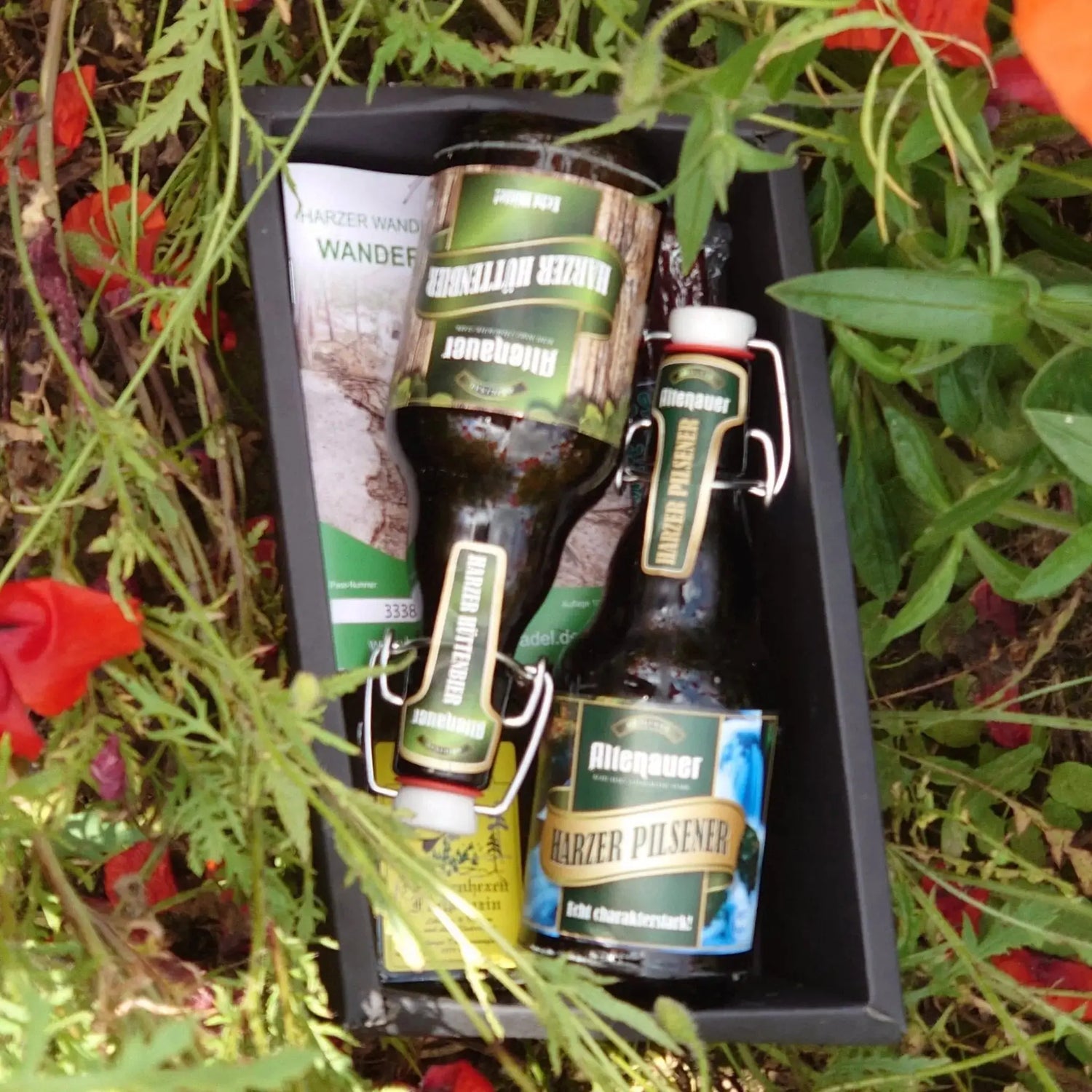 Harzer Wander - Kiste – Genuss &amp; Abenteuer aus dem Harz - senf - shop.com