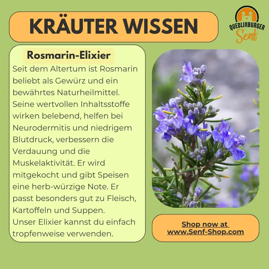 Rosmarin - Elixier - senf - shop.com